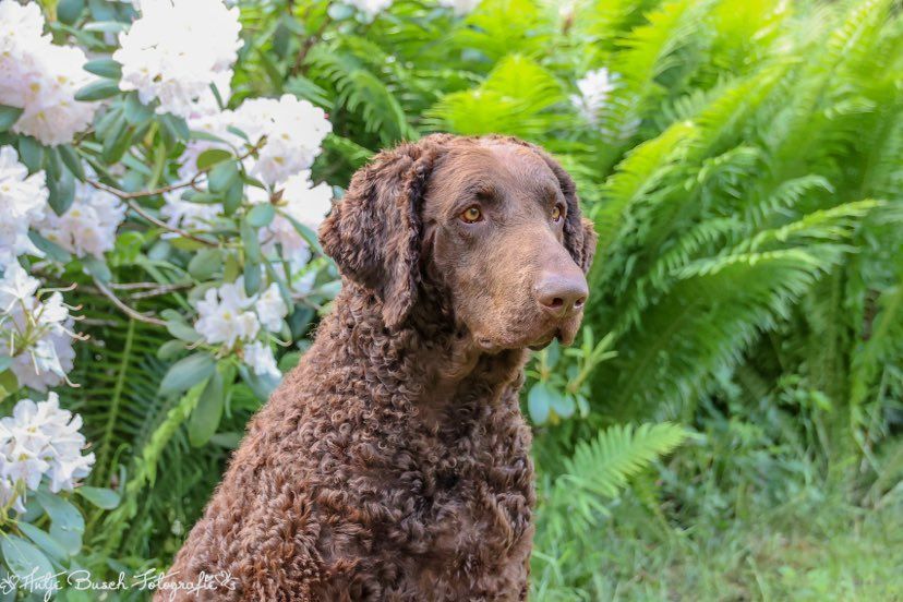 Publication : Du Moulin Du Paulu 