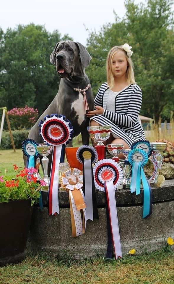 Meetia Du Domaine De Jappeloup