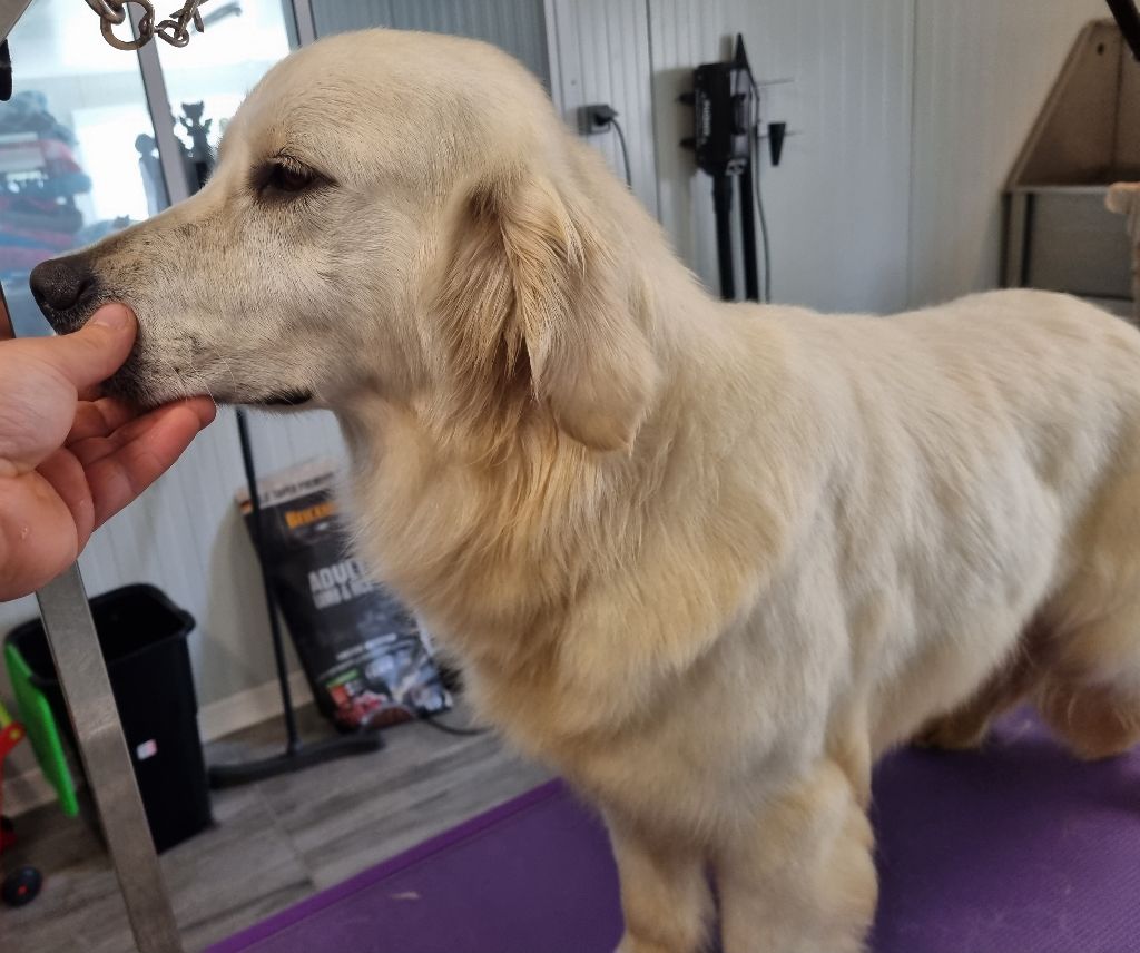 Publication : Du Manoir Du Vauclair