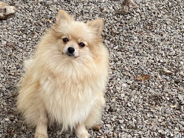 Publication : du moulin de madjurie 