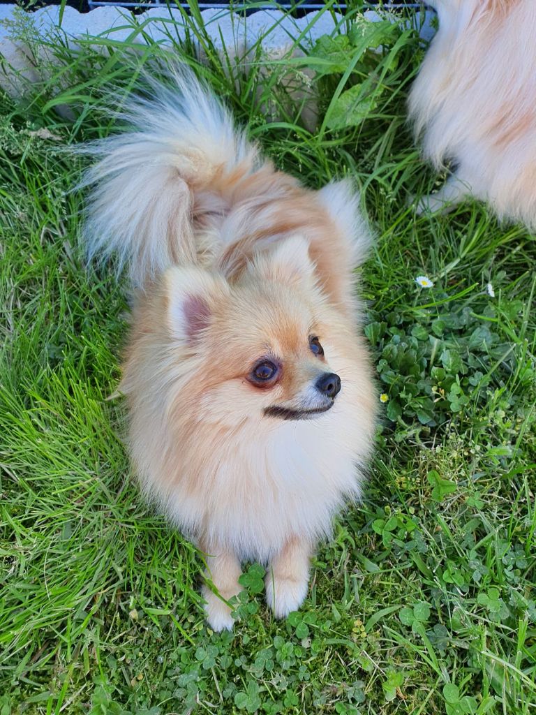  Auteur : Marie Gabrielle Bontoux