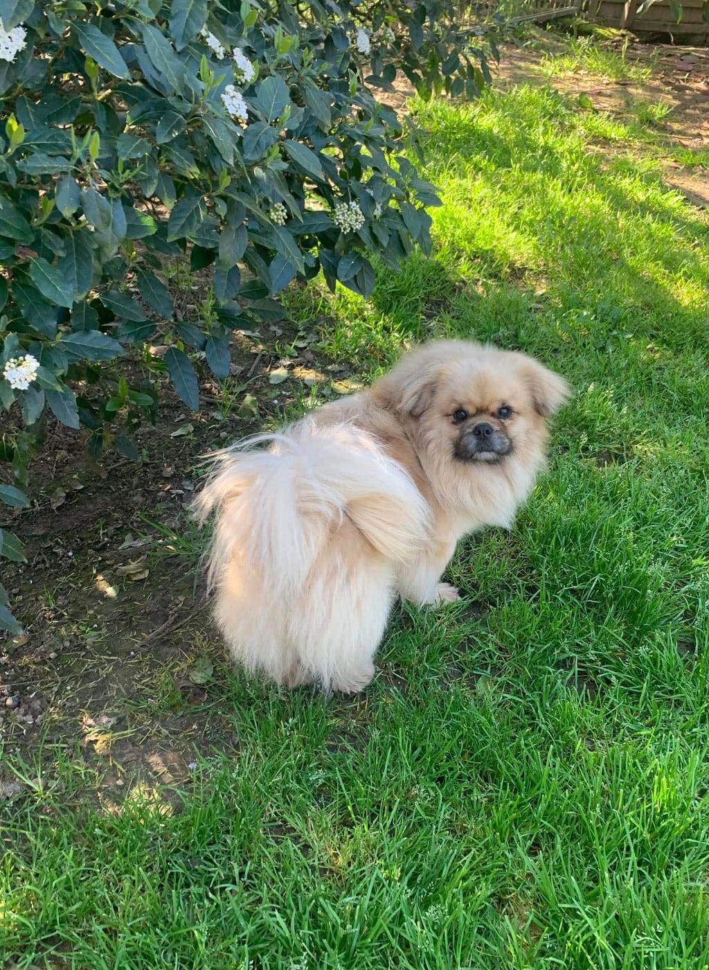 Publication : ONITSHA'S Auteur : sylvie landriau