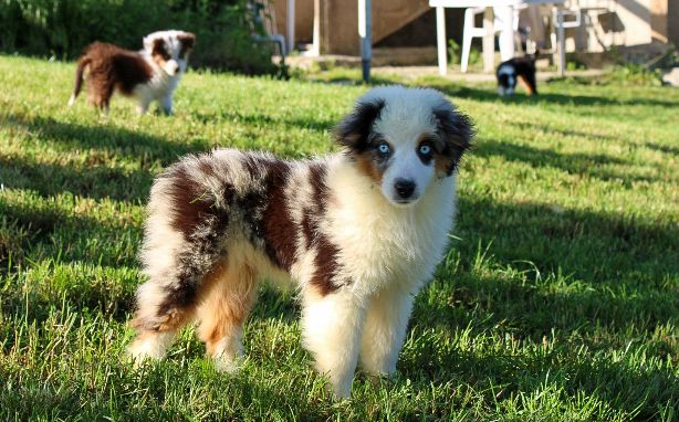 Publication : Des Merveilles d’Ilona