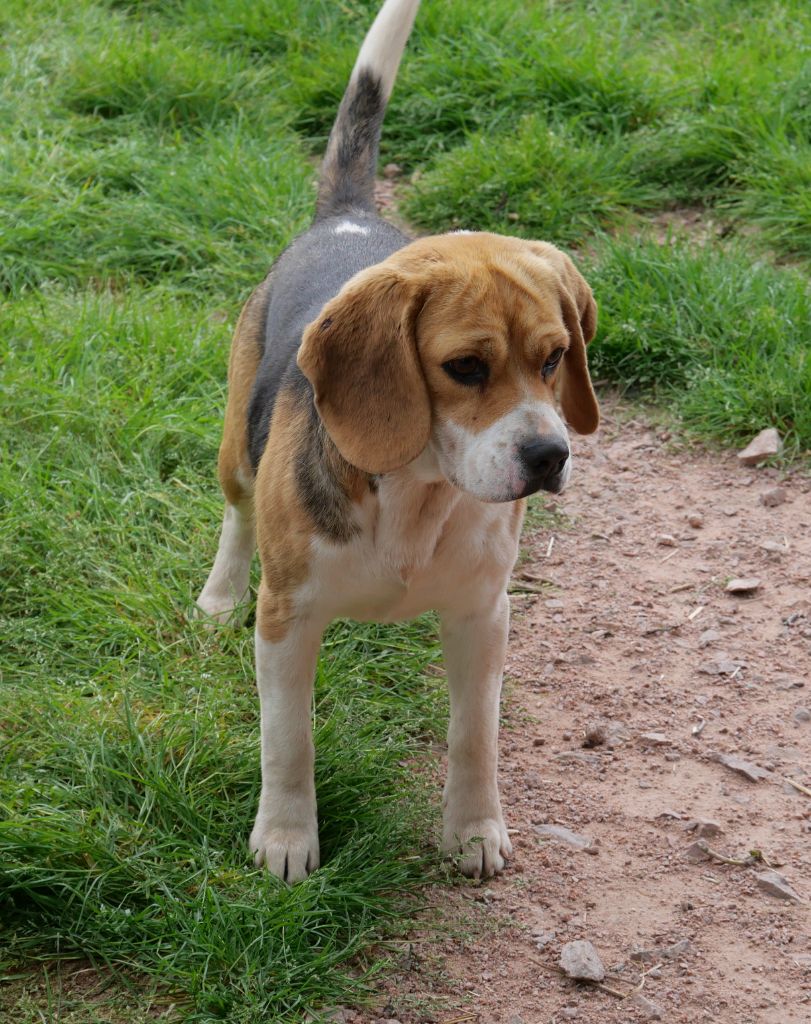 Publication : De la crique du Flojule Auteur : justine GRANGE