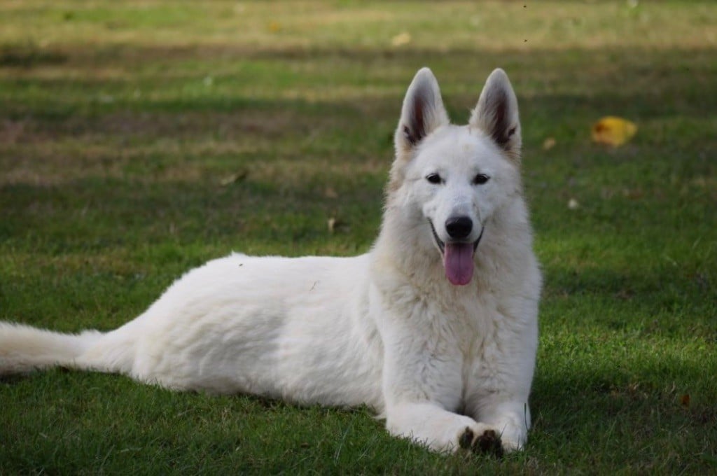 Publication : Des Vents D'Océan 