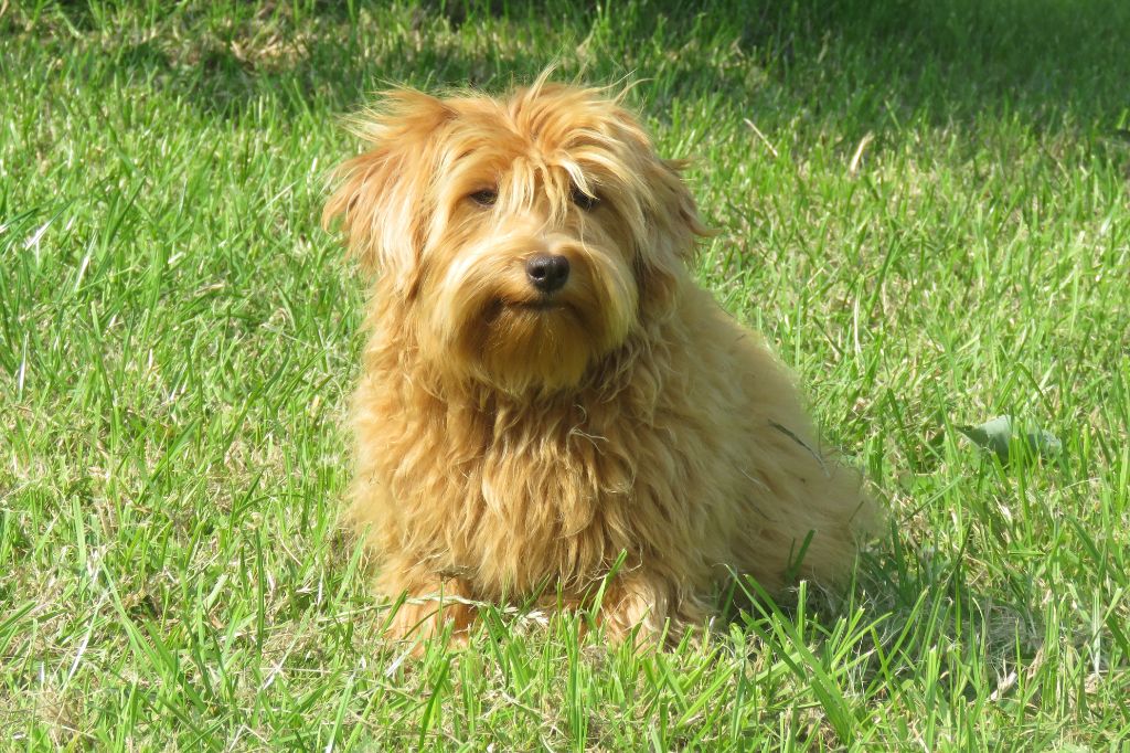 Publication : Des Trois G