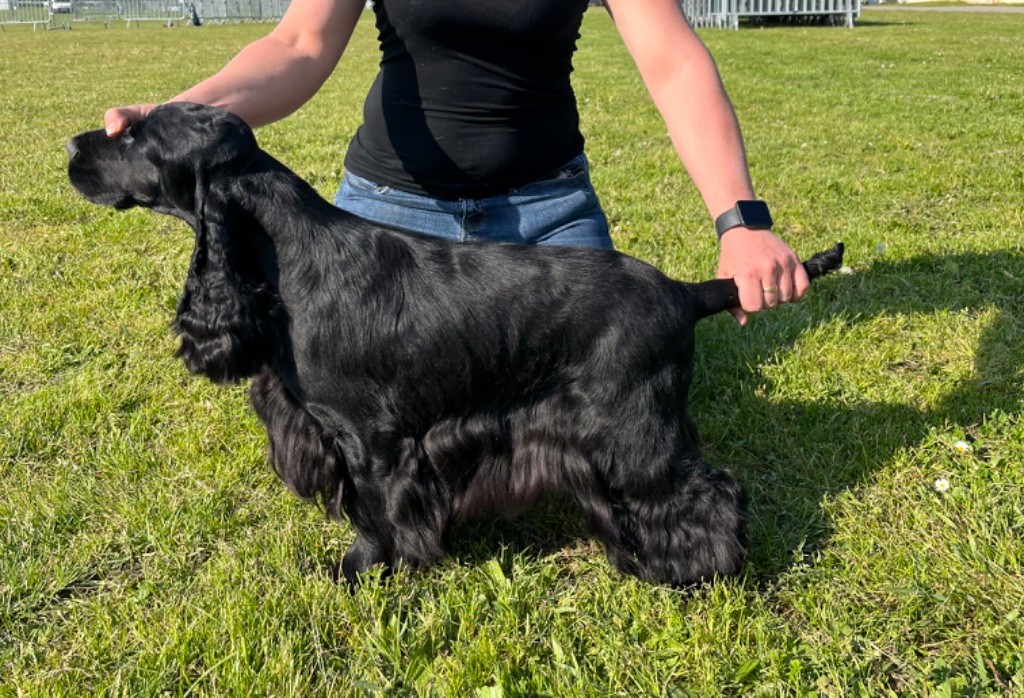 Publication : Sunset D'hell 