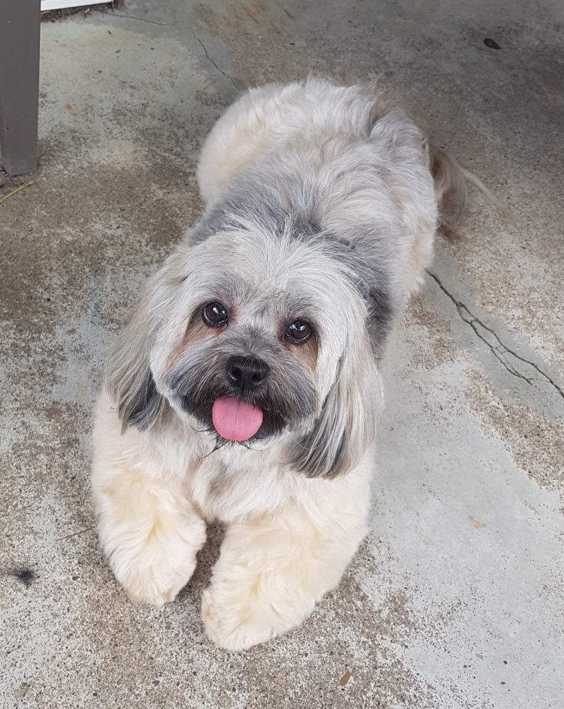 Publication : Du Domaine De Madrigal 