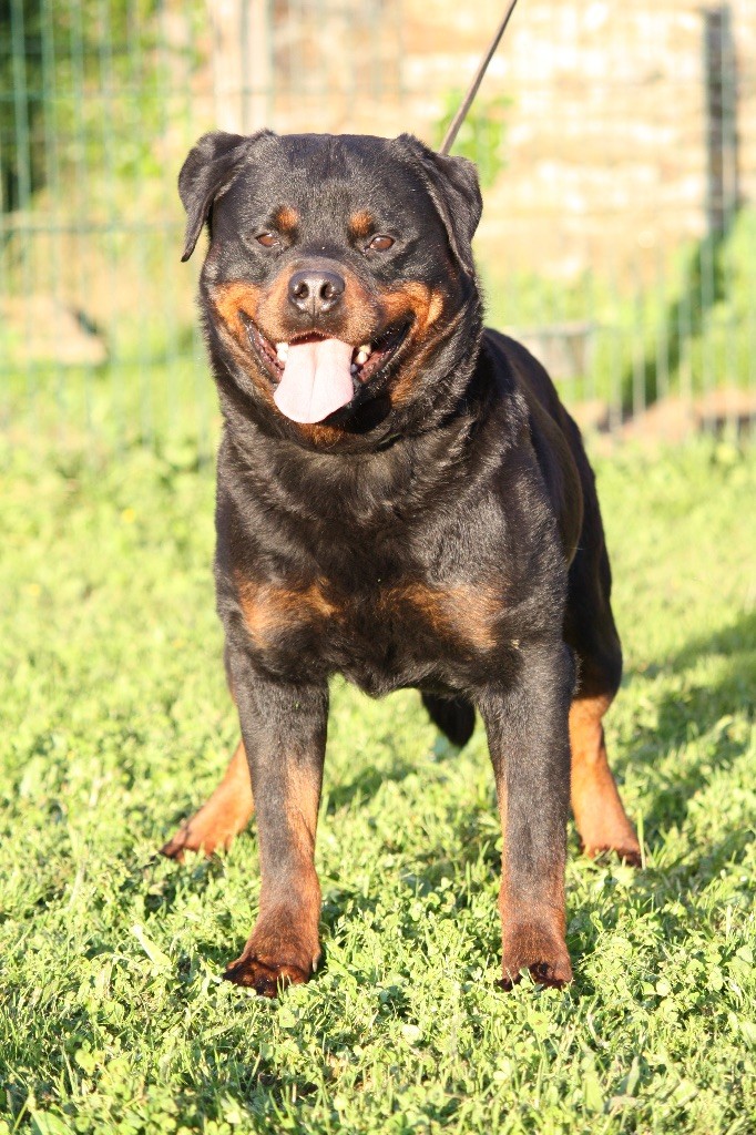 Publication : des fils de Nwenco 