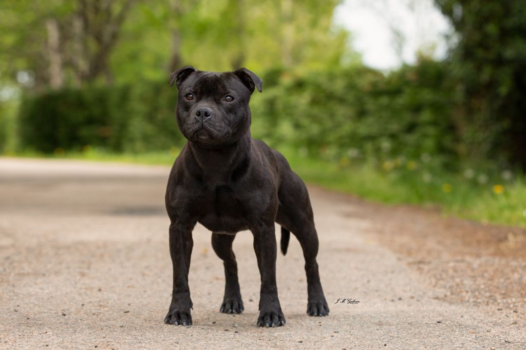 Publication : des Espoirs de Wallieux Auteur : J'M Gabrion photography 