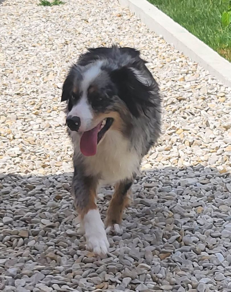 Publication : Du Domaine Des Belles Aubois