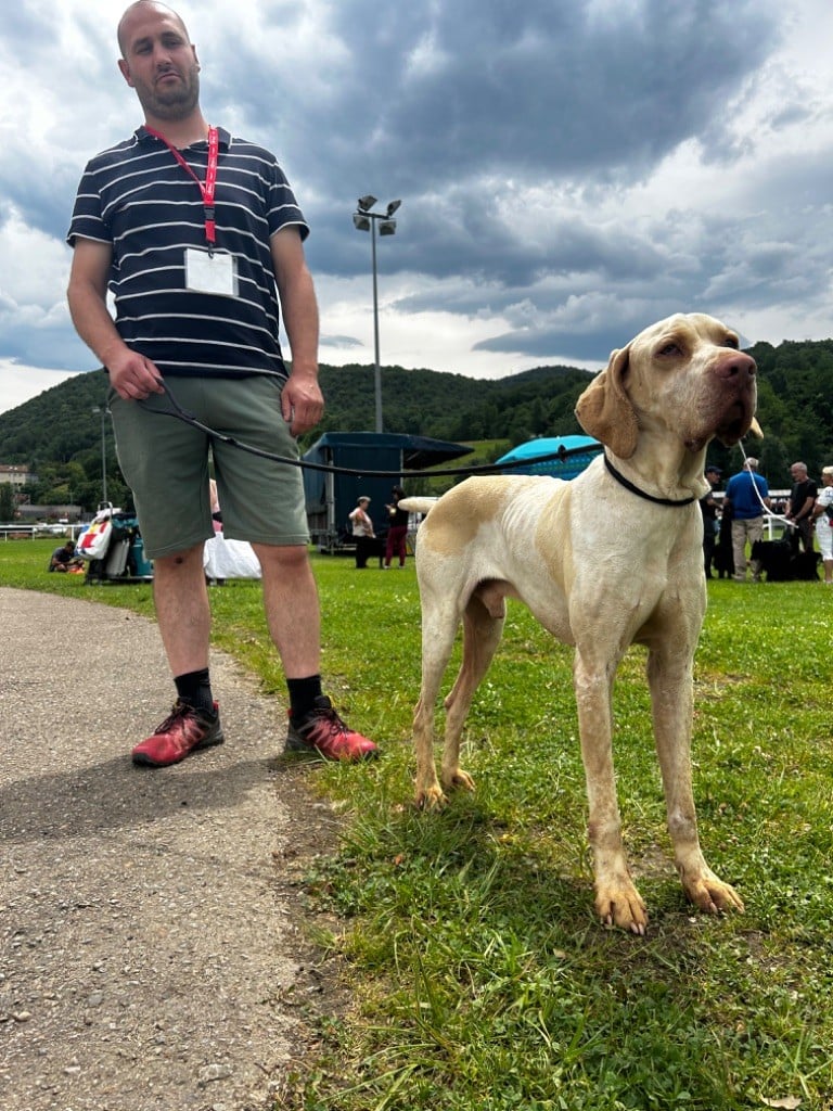 Publication : De La Terrible Menée 