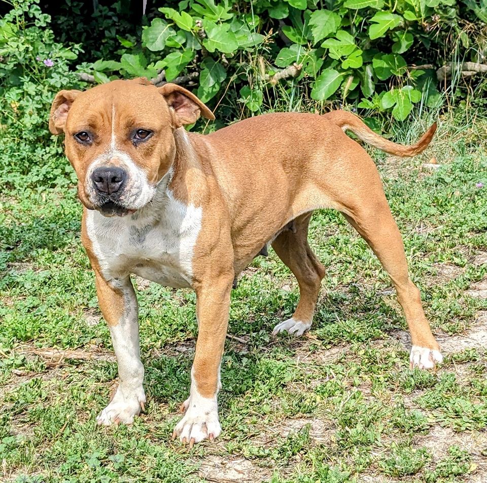 Publication : Glory Potency Of Ring's 