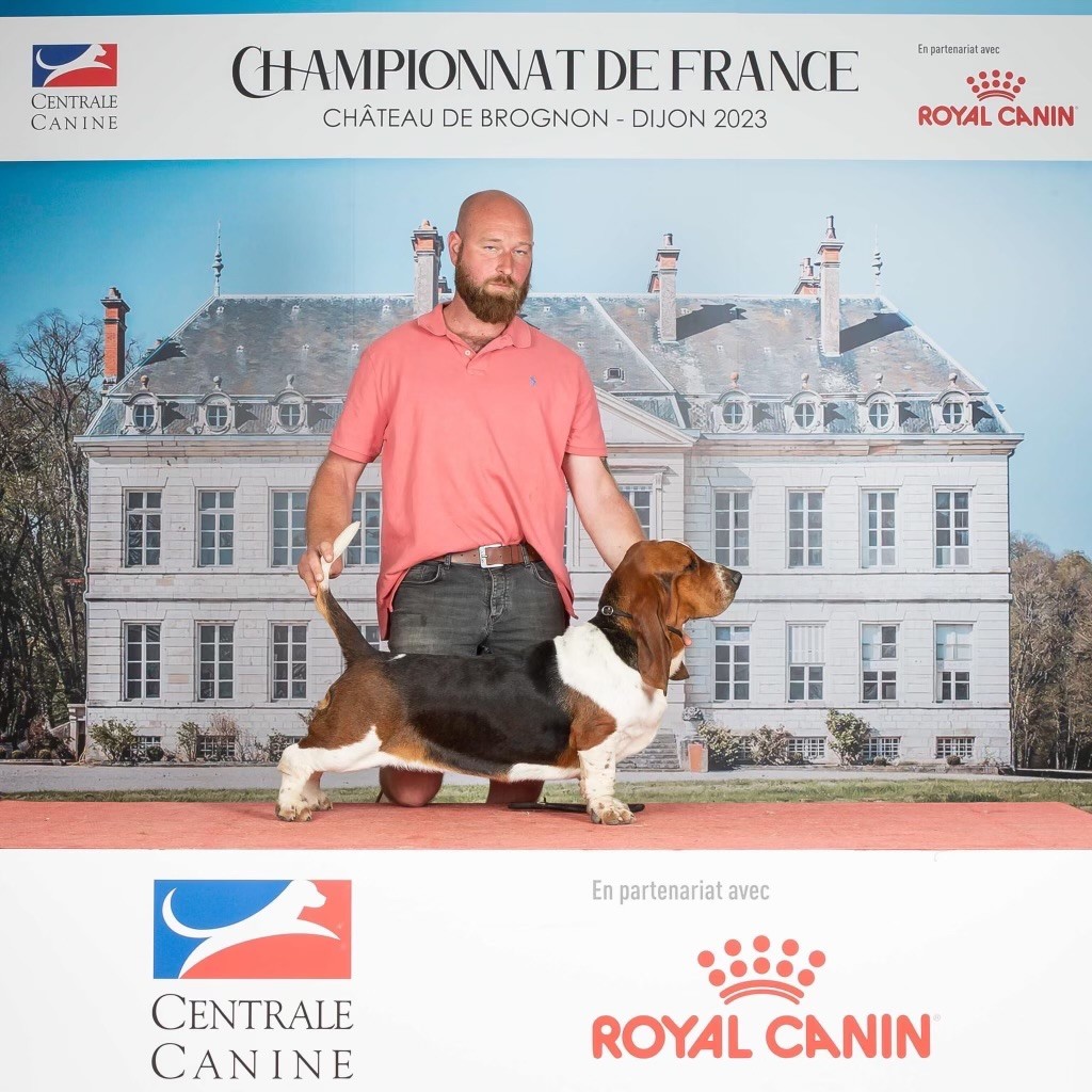 Publication : du Domaine De Léon De La Seille Auteur : Royal canin