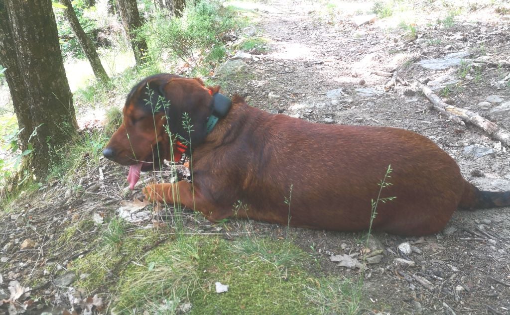 Publication : de Tebsema Auteur : CHRYSTELLE CORNEAUX