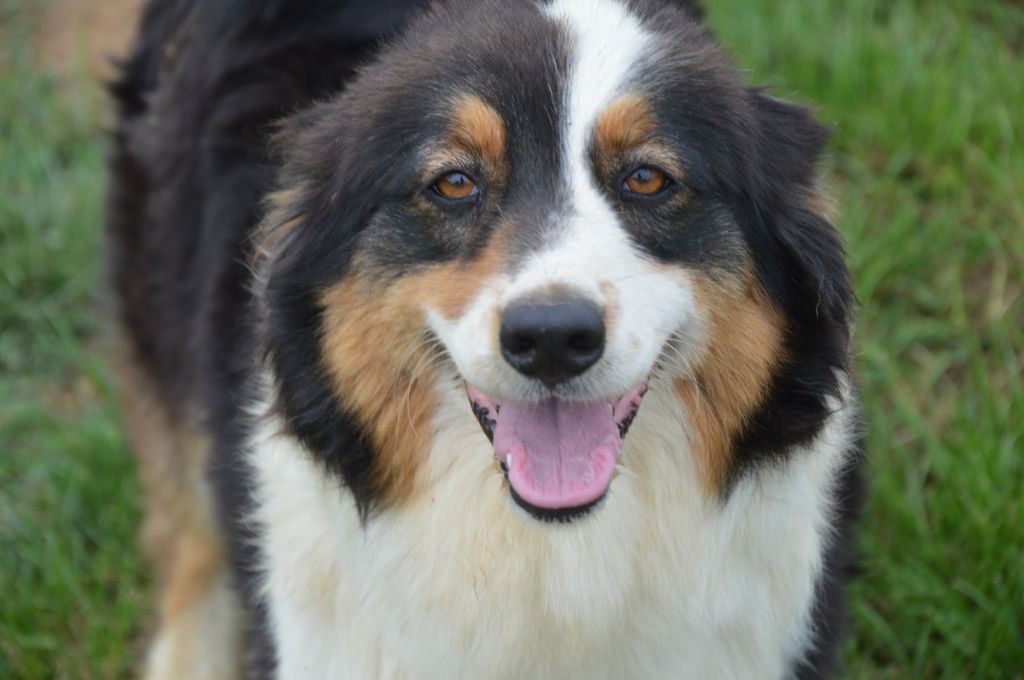 Publication : Des Collines D'Evereven