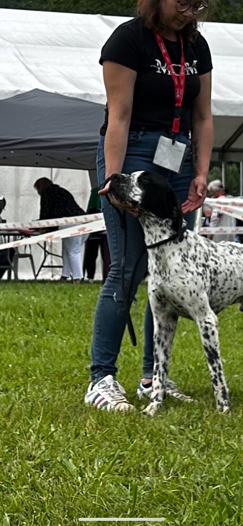 Publication : De La Terrible Menée 