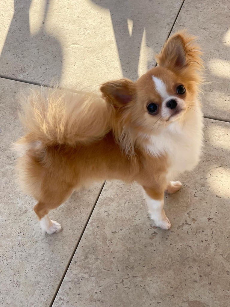 Publication : Des Bandits De Tula