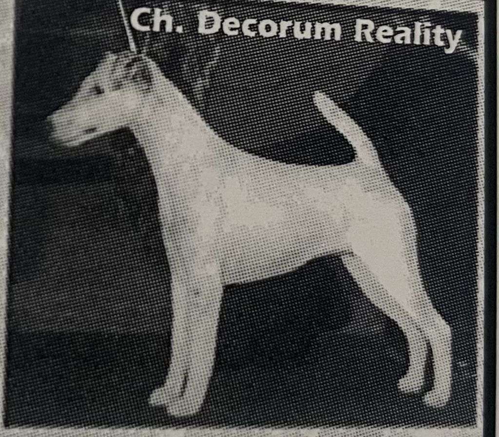 CH. decorum Reality