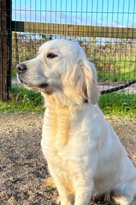 Publication : de la Vallée de Saint Samson