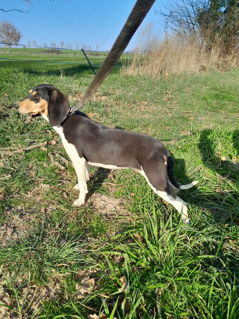 Publication : Des P'tites Tornades 