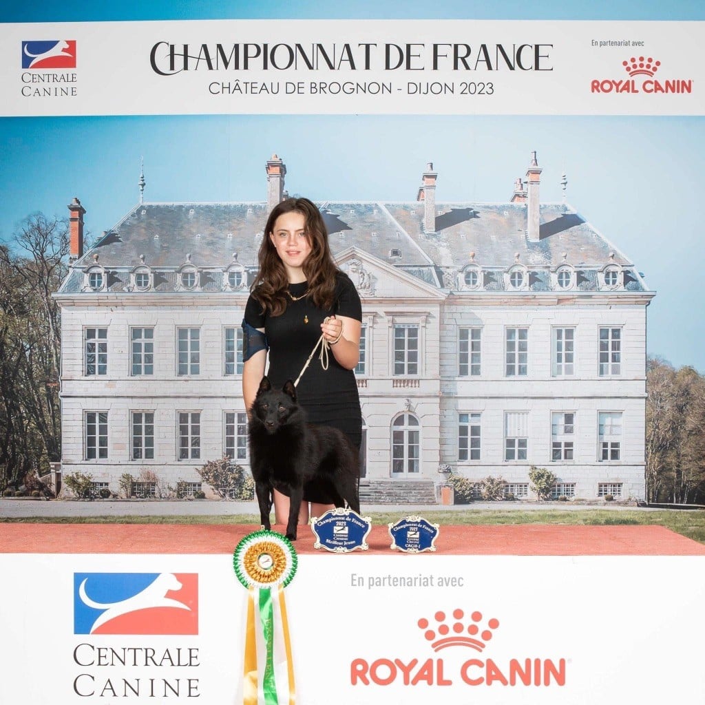 Publication : De La Lignée Royale 