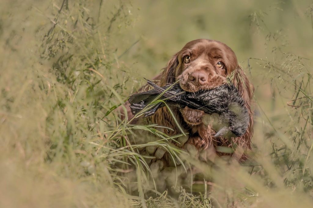 Publication : Des Terres De Beaulieu 