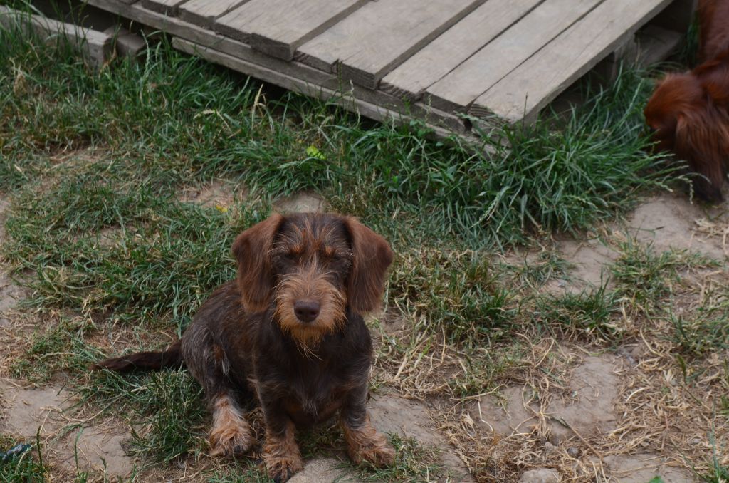 Publication : Du Clos Des Bords De Mer Auteur : pierrette quesne