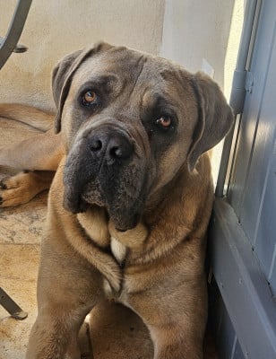 Slyder de l'eden de malizia