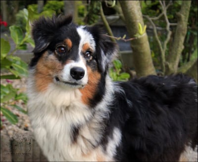 Touch my heart thalia De Sol Del Norte