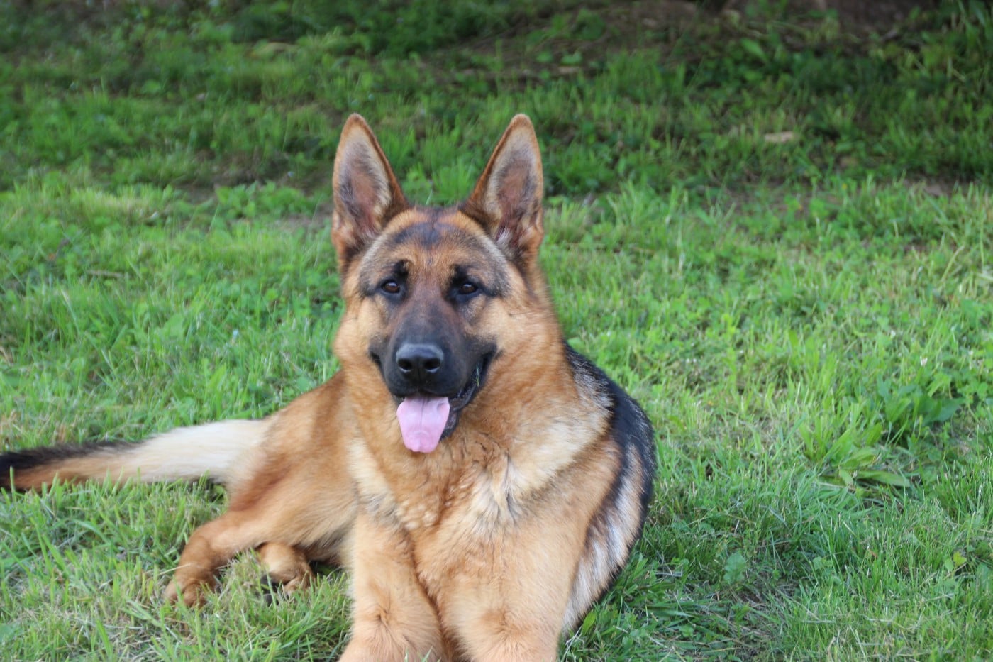 Publication : De La Légende De Mike 