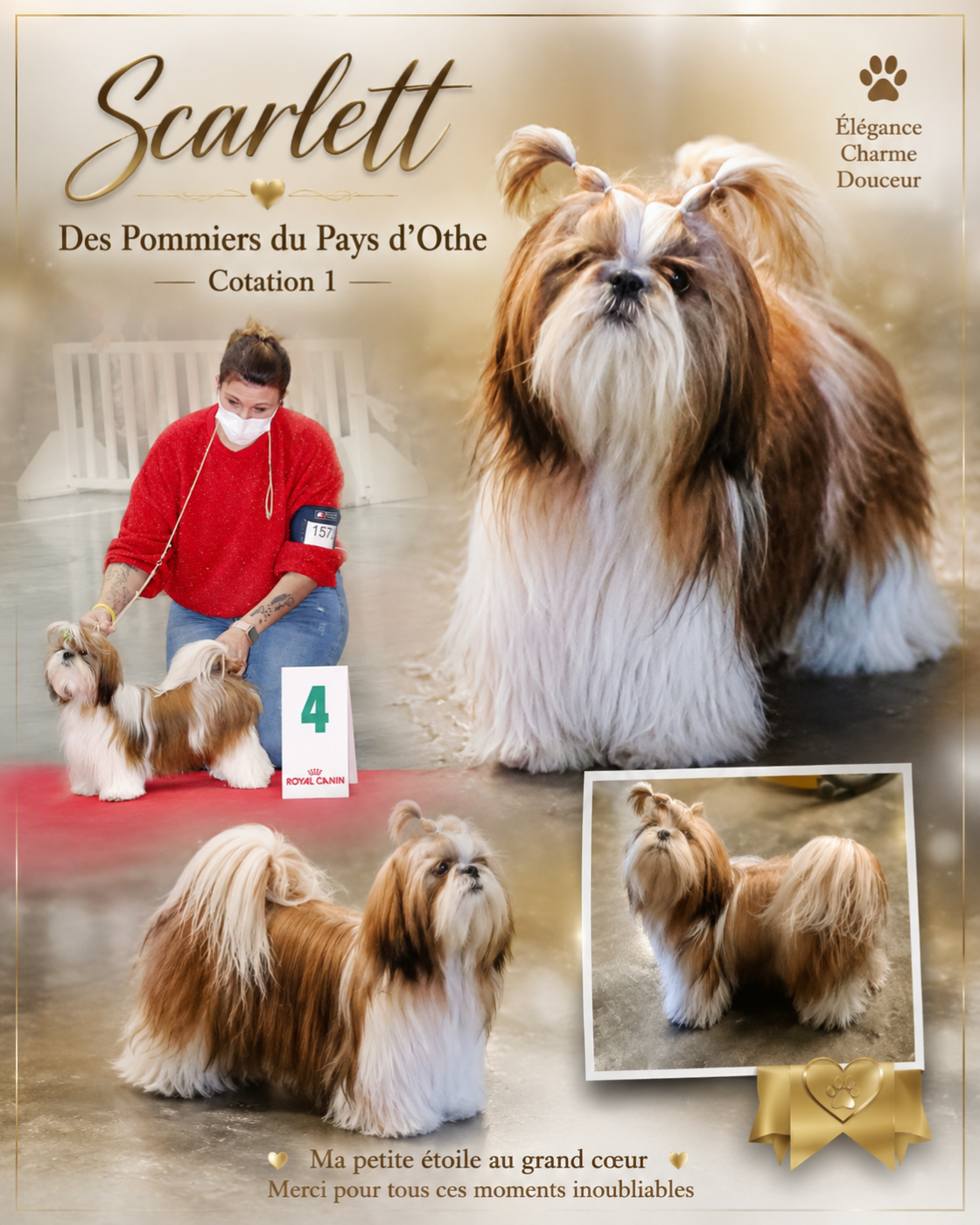 Publication : des Pommiers du Pays d'Othe