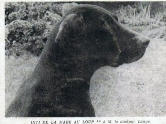 TR. CH. Inti de la mare aux loups