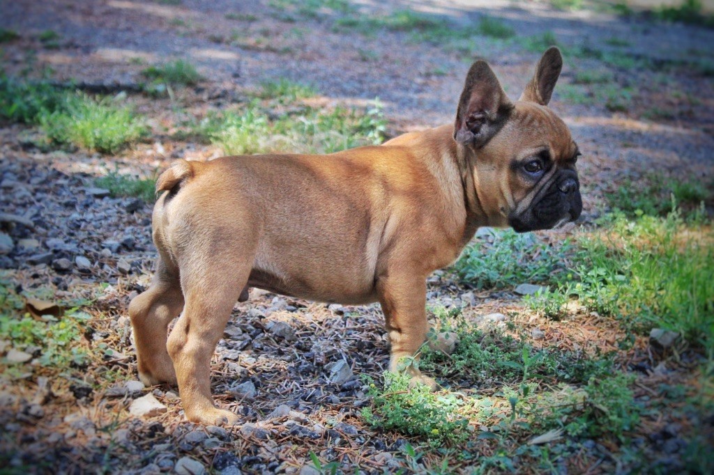  Auteur : Melanie Mosca 