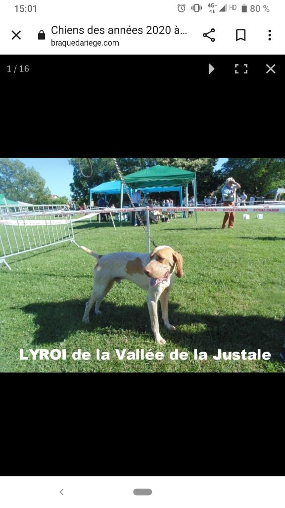 Liroy De la vallée de la justale