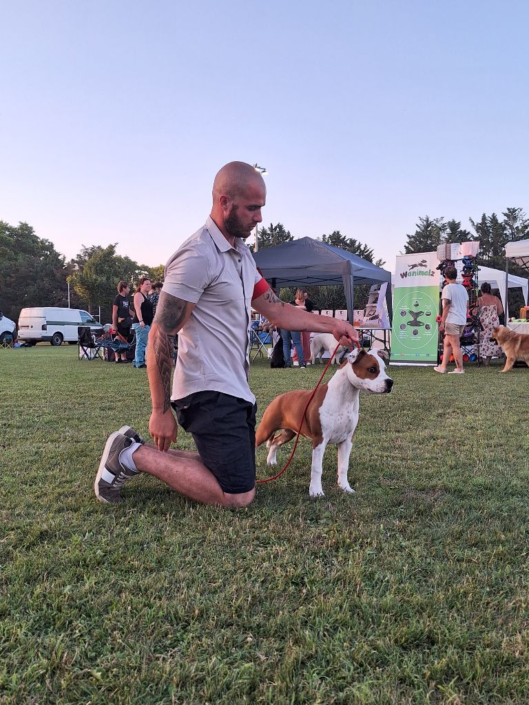 Publication : French Challenger 