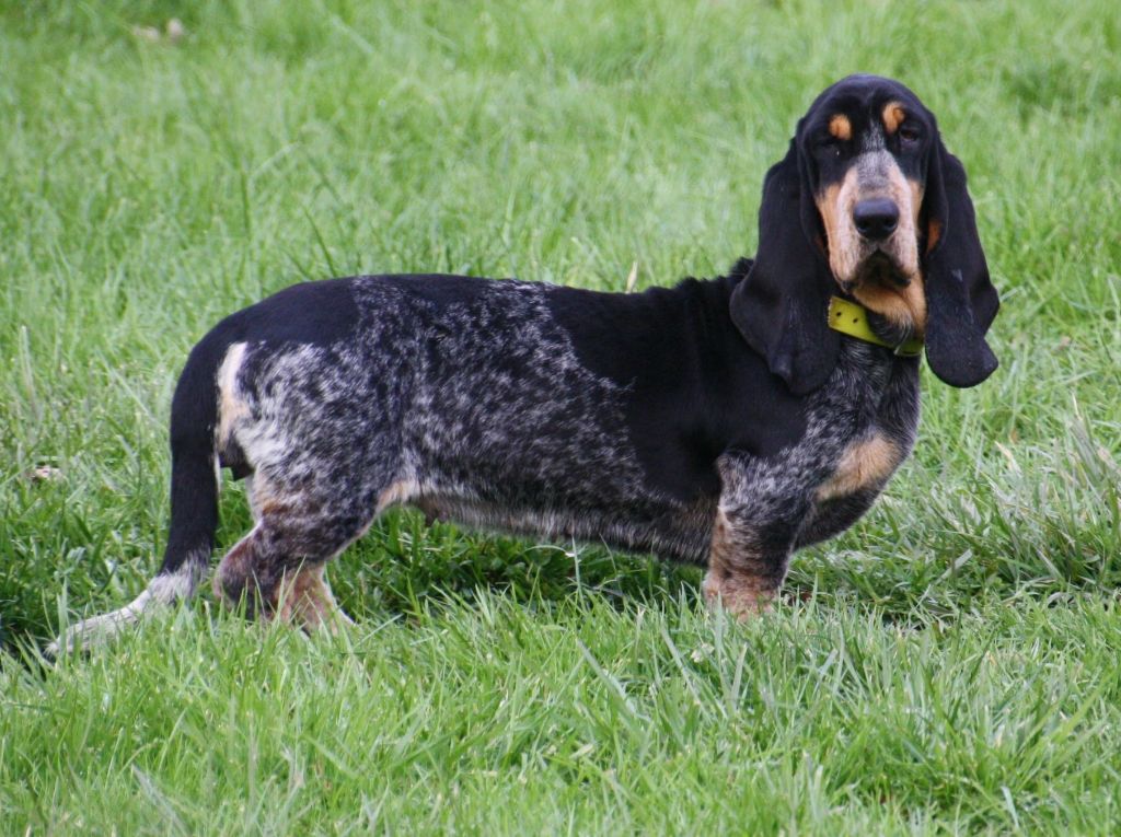 Publication : des vallées longeronnaises