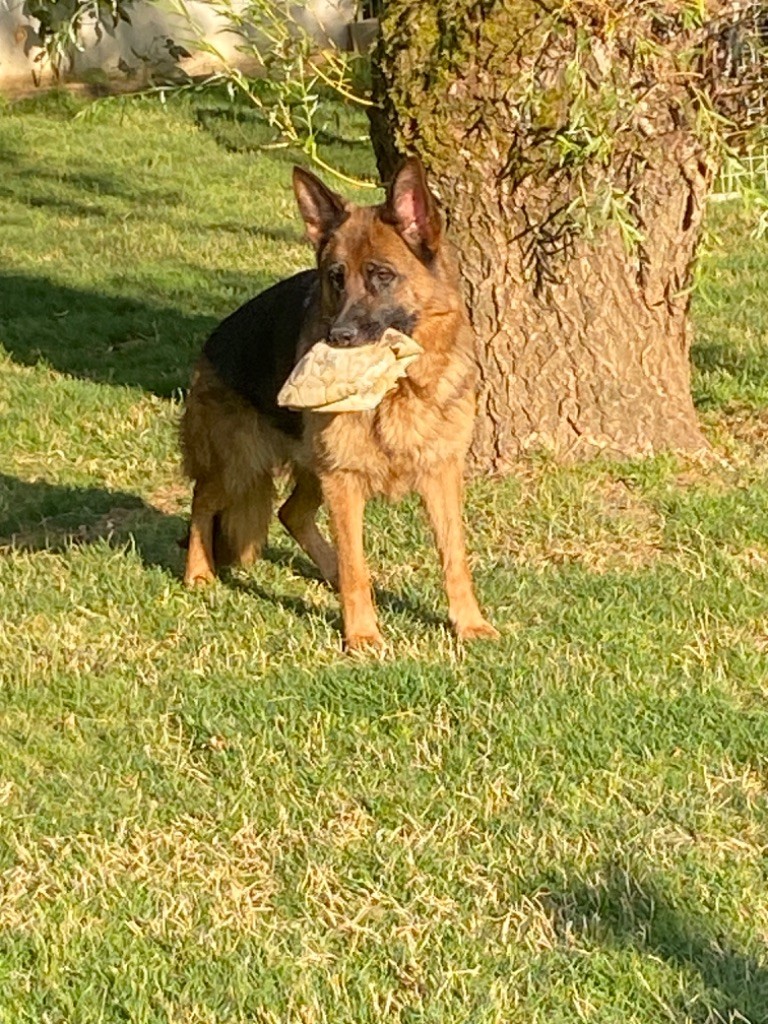 Publication : du clan des gladiateurs