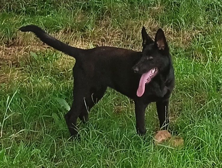 Publication : des Terres d'Avallon Auteur : Terres d'Avallon