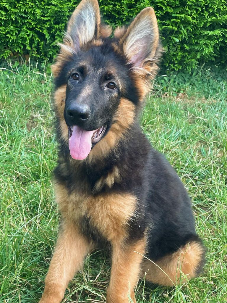 Publication : des Terrils du Ch’ti