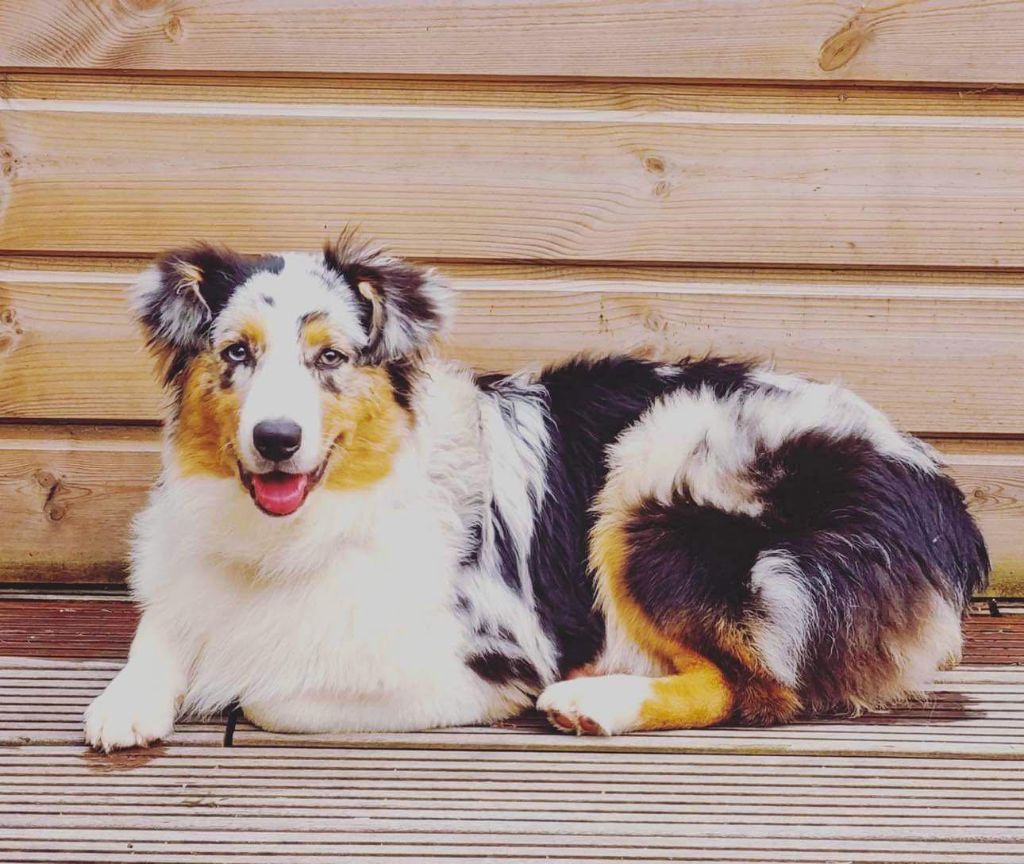 Publication : Du Village Caché De Konoha 