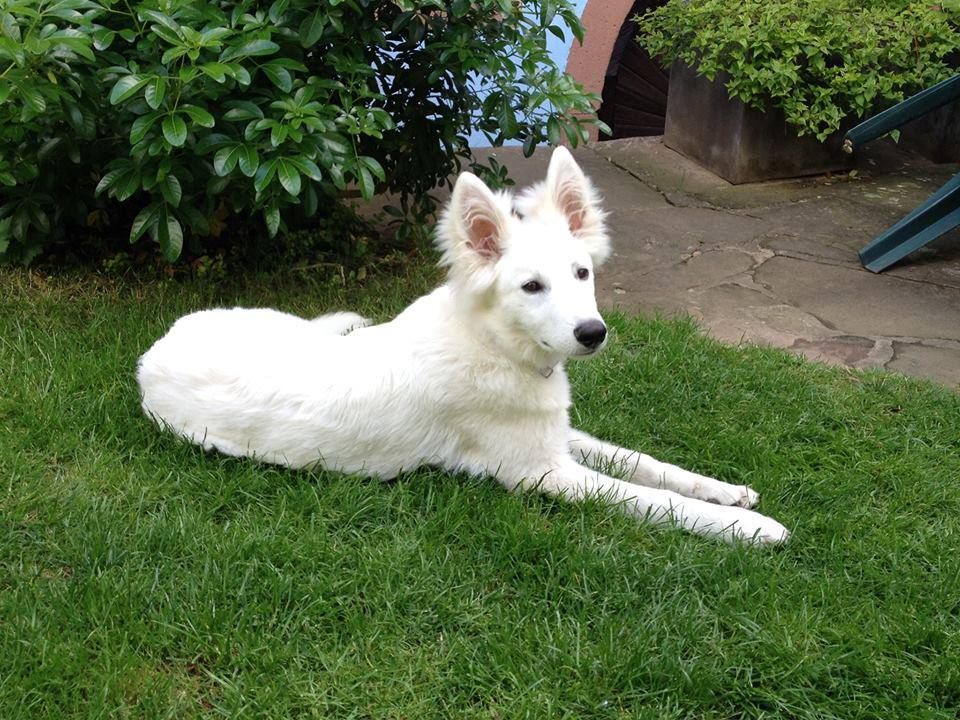 Publication : Des Gardiens De Sauron 