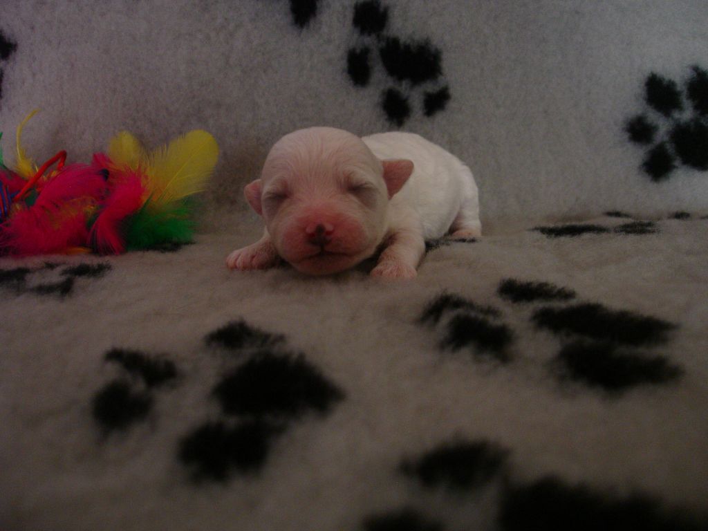 Publication : de la grande equinoxe