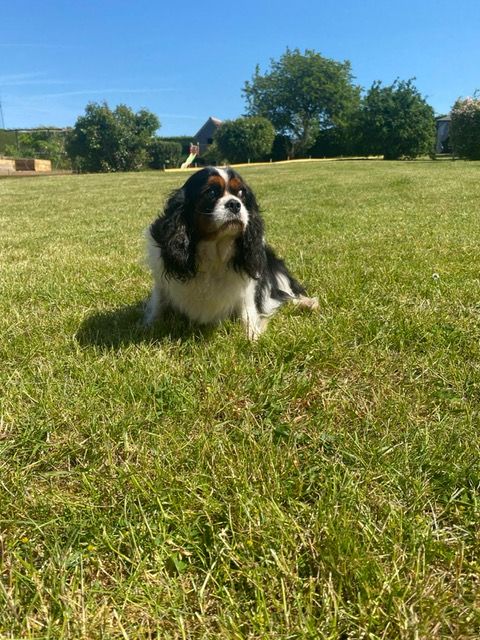 Publication : Des Sentiers du Perche 