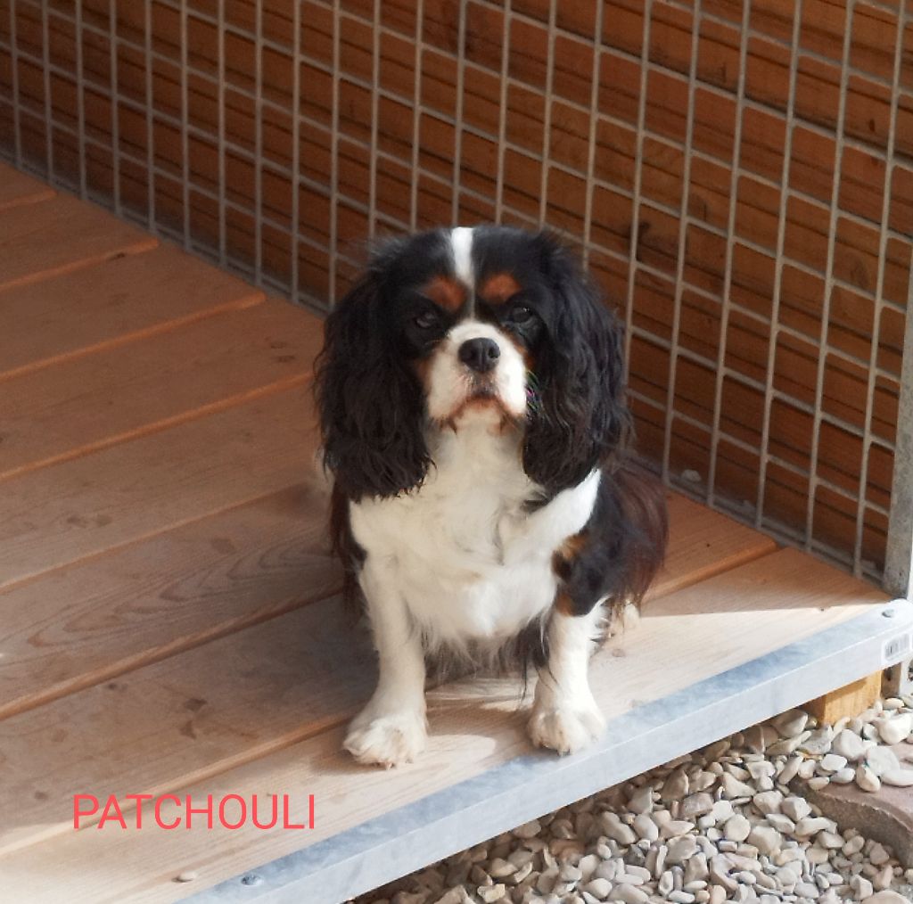 Publication : Du clos kemorick 