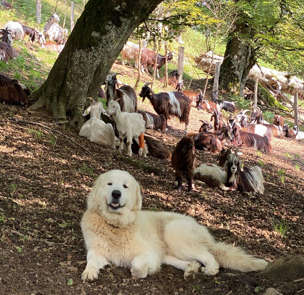 Publication : Kaïku Borda