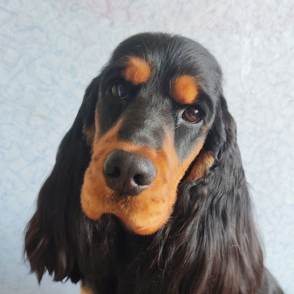 Rizette Du Domaine D'Anteros
