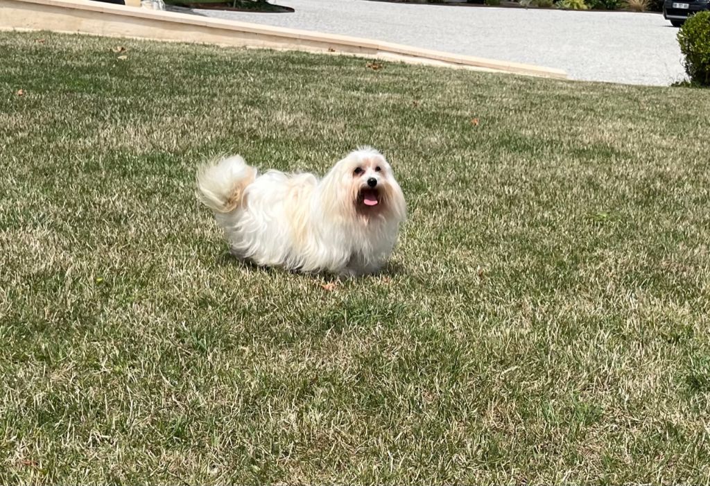 Publication : Des Sentiers du Perche 