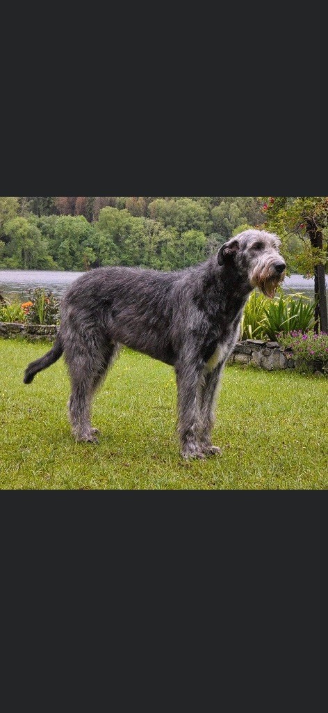 Publication : of Muma