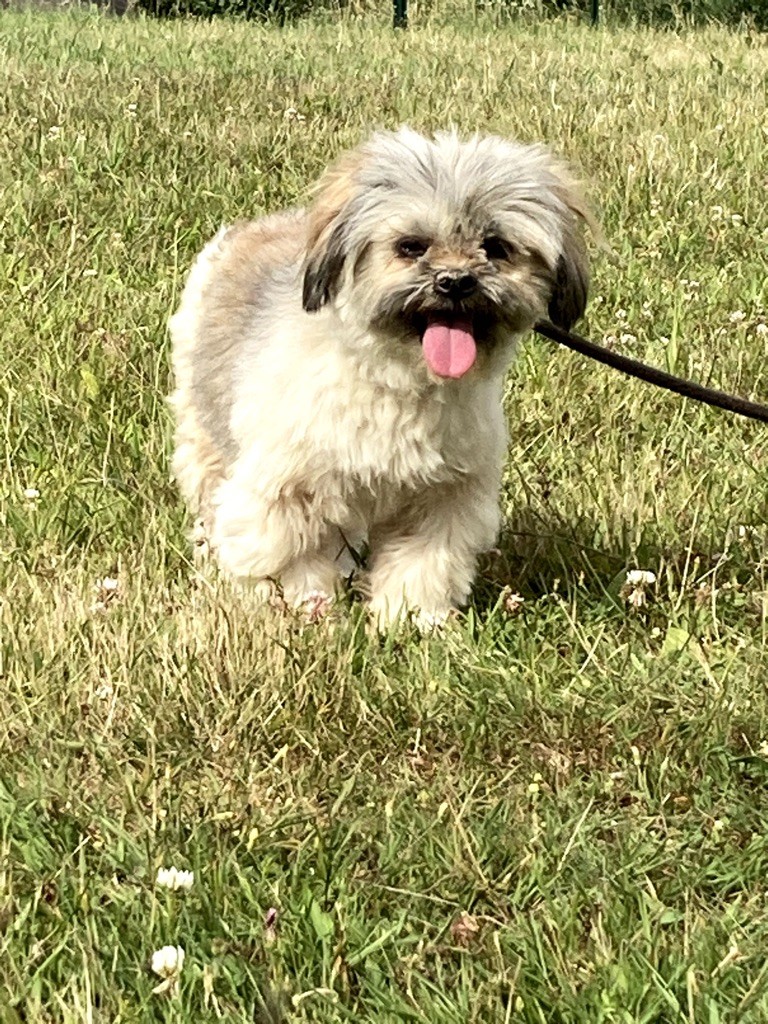 Publication : de Jerrie Black